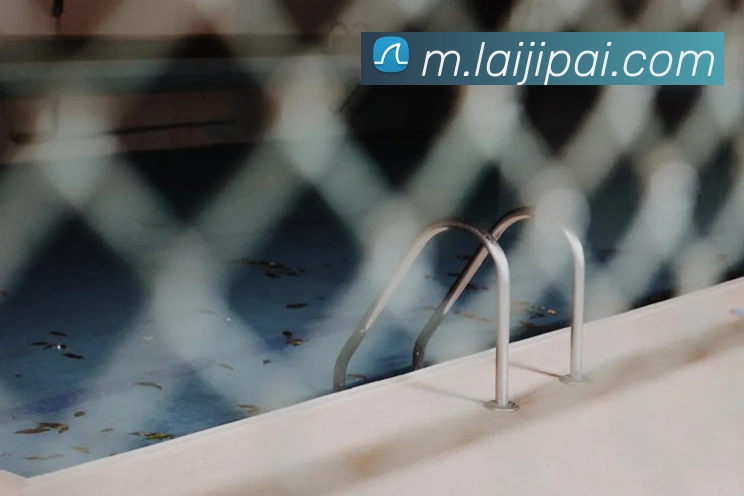 App Interface Preview